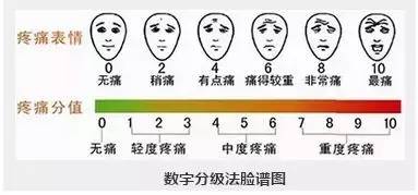 数字分级法(nrs):使用《疼痛程度数字评估量表》(见图)对患者疼痛程度