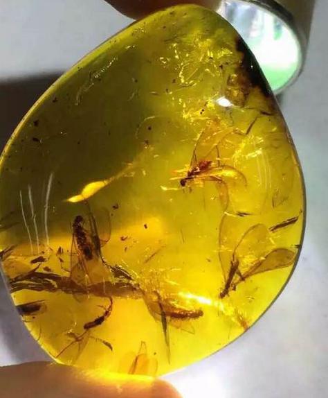琥珀的排名_琥珀原石(2)