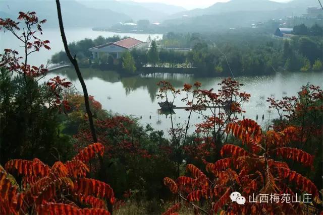 "梅苑山庄"灵山秀水 风水宝地,让你远离pm2.