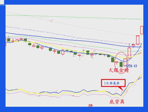 会绝人口_人口普查(3)