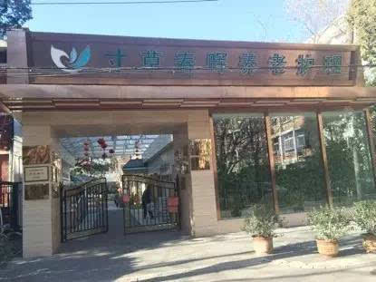 △寸草春晖养老院