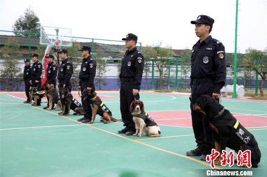 广西森林公安警犬3年抓46名嫌疑人 民警伤亡率降低