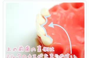 牙刷左右小幅度移动 4,上牙同理,保护上唇及上唇系带