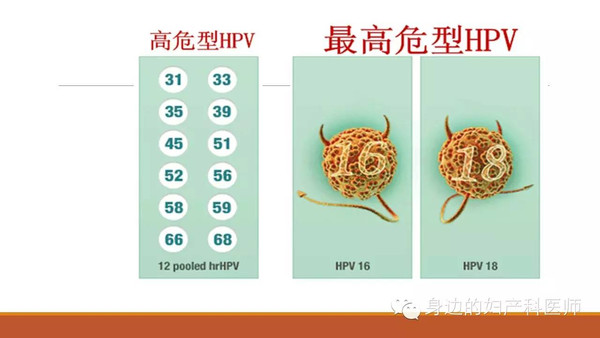 高危型hpv和宫颈癌相关.16型 18型引起85%的宫颈癌.