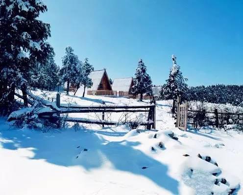 虽然没有滑雪场,但摩围山的雪景犹如北极小镇.