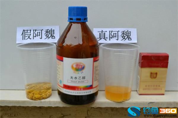 中药钓鱼配方