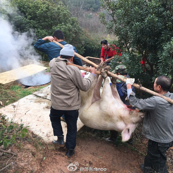 寻年味云南安宁王家小院生态农庄年猪饭