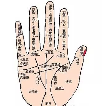 手掌八宫 预言生老病死