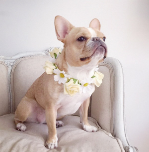 chloe Ʒ:ţȮ