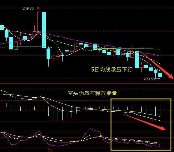 今晚EIA，预计会有15-20个点的波动，想把握住今晚EIA行情的朋友在今天5点之前找到我，无论你是在观望还是已经在投资的路上，只要你找到我，我必让你有所收获。