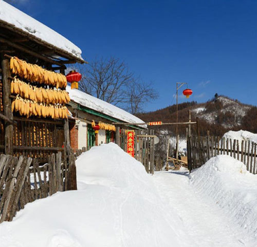 沈阳到松岭雪村的旅游团 中国雪村两日游>