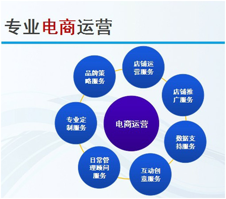 淘宝托管公司排名_托管公司宣传画册(2)
