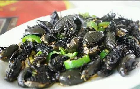 广东最难吃噶菜都加入了佢噶黑,外地人整理