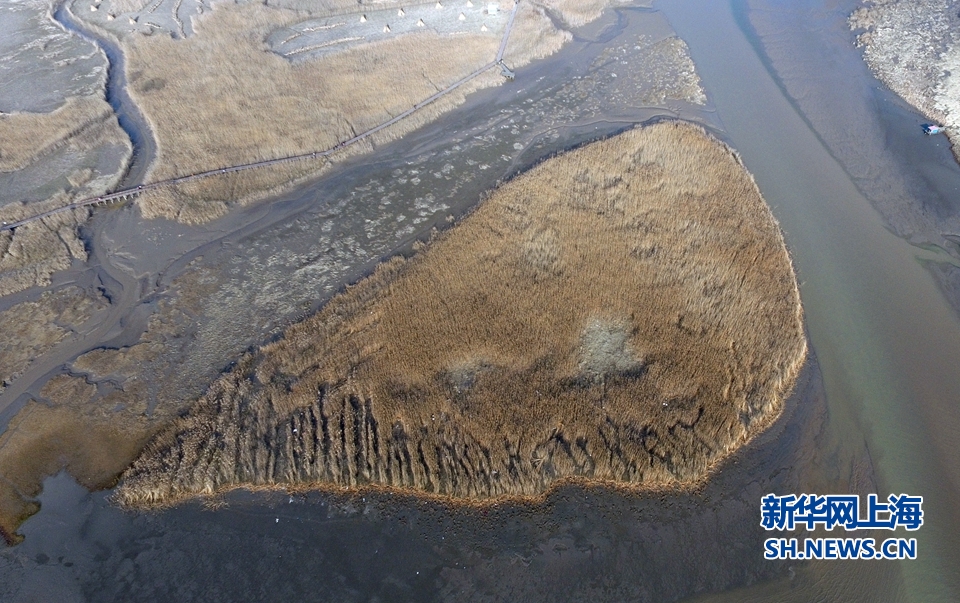 航拍西沙湿地:世界第一大河口冲积岛潮滩湿地(组图)