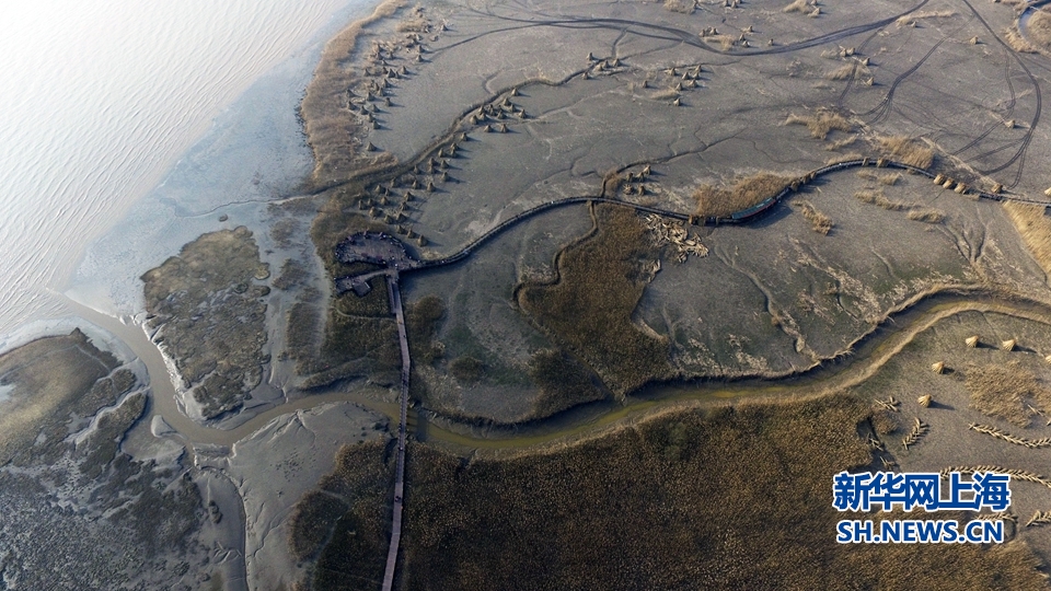 航拍西沙湿地:世界第一大河口冲积岛潮滩湿地