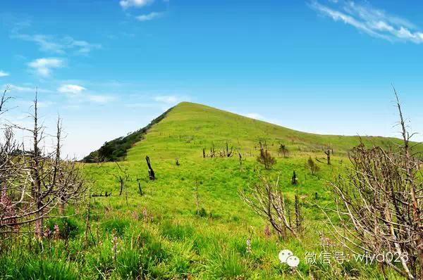 峨边黑竹沟6天徒步攻略