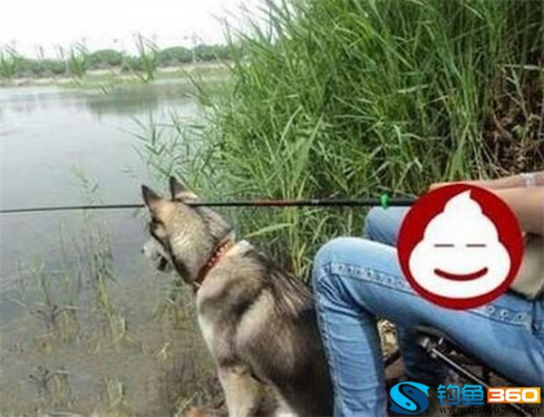 一些有关钓鱼的搞笑图片