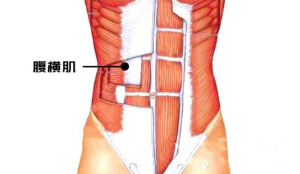 练腹肌最好的方法|去动运动APP