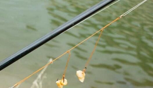 钓鱼技巧:万峰湖野钓攻略和垂钓方法
