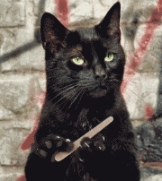 mp53019989_1452157240392_1.gif