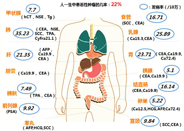 lass= original-icon \/span 正确认识肿瘤标志物,%