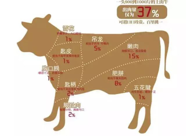 福利|风靡上海的潮汕牛肉火锅!成都第一家落户