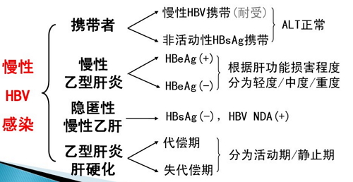 乙肝全球人口_中国乙肝人口