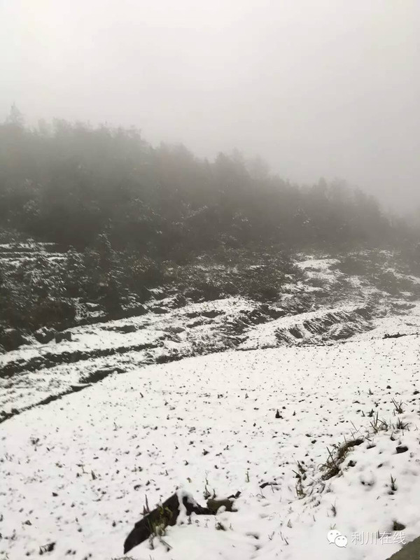 2016年利川人口_2016年利川美丽冻人的第一场雪,你出门感受了吗