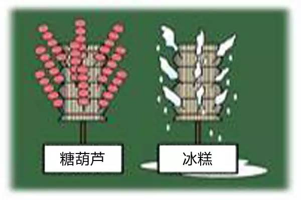 为什么说学而思比新东方组织架构设计好?