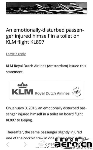 中国男子荷兰班机上刺伤副机师并自残