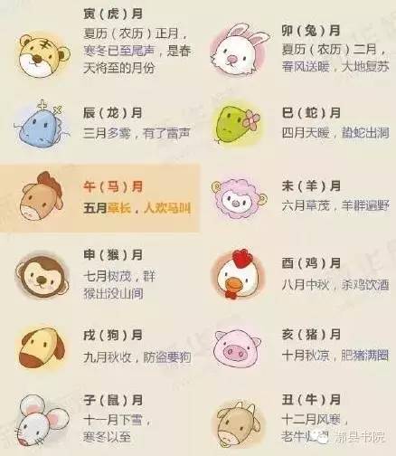 2016年是个神奇的年份郑州人一直在等的猴年马月真的要来了