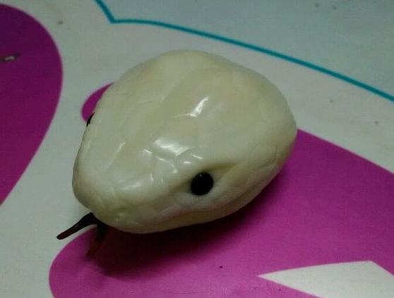 蛇头当手串三通残忍教你用象牙果diy三通蛇头