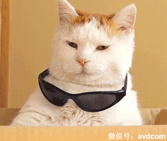 搞笑GIF图片:老师你是不是看到你师傅了-搜狐