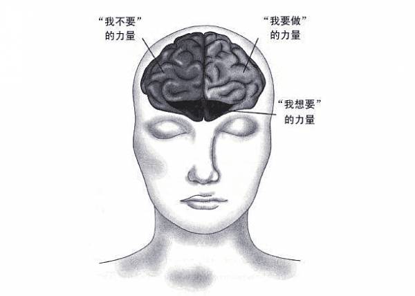 15分钟的秘密