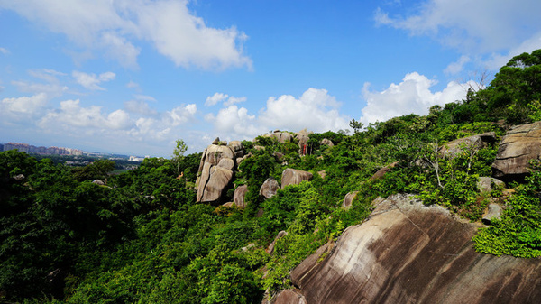 东山岭风景区东山岭风景区索道分为上中下三站,中间这站上去的时候