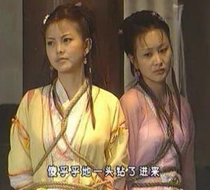 2001年一部电视剧《快嘴李翠莲》,让以主持人出道的李湘进入了演艺
