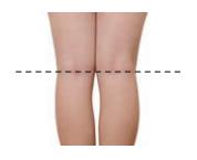观察膝盖后面的 窝形状,横线粗细,色泽,以及青筋是否对称.