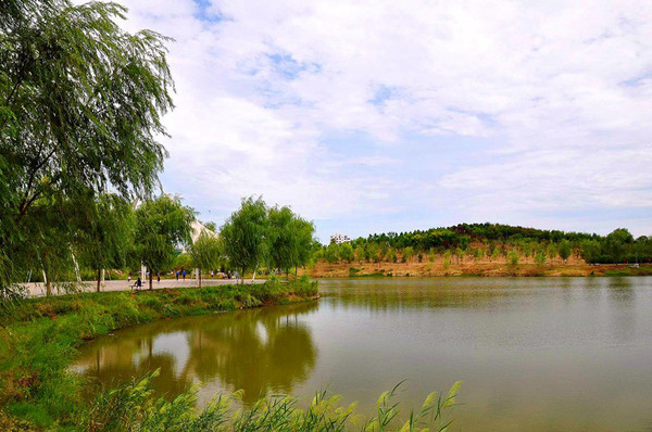 邓州湍河国家湿地公园