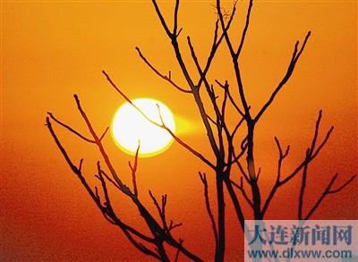 文/图   本报记者吕文正   冬天的太阳尽管没有春天的润泽,没有夏天