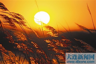 醉美冬日红太阳(组图)