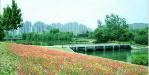 增量园林建设——合肥塘西河公园