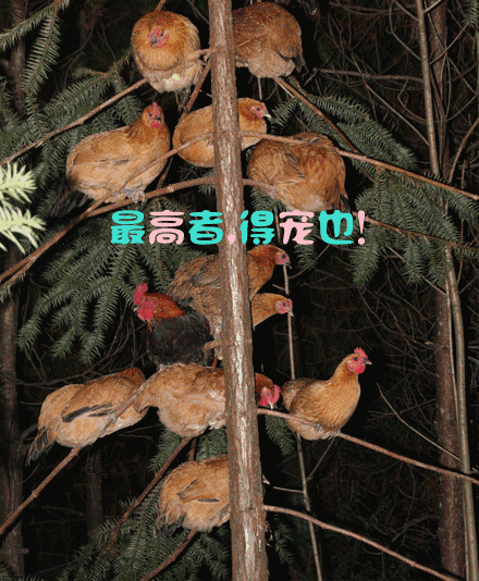 勾手指,通电话,蛋糕直接送到家!