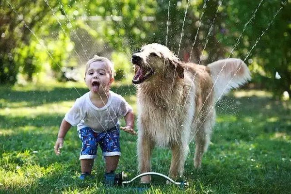 ůɰС,,֪ʲôƷ