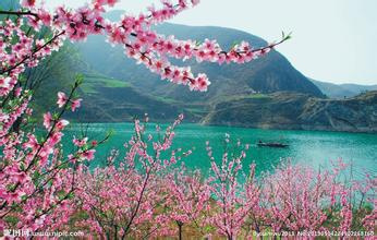 秦岭最美是商洛7:四龙戏珠仙娥湖