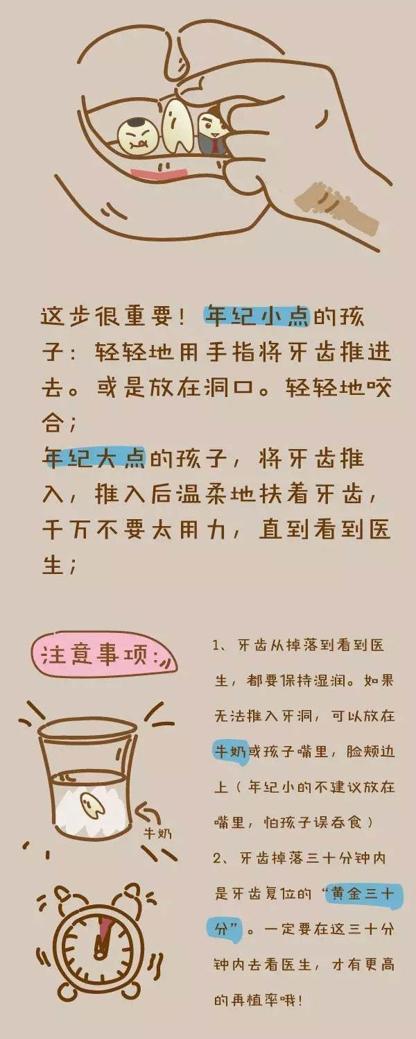 萌翻了!父母必须知道的小孩换牙知识手绘版漫