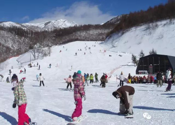 冬季到日本来滑雪！东京附近4大滑雪场全攻略！-搜狐