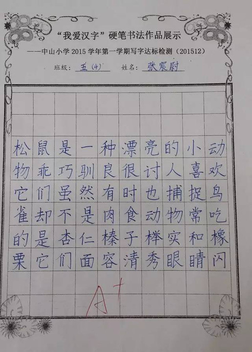 哇真漂亮这些小学生的手写字工整堪比印刷体