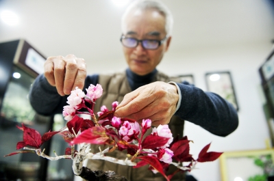 昨日,在扬州工艺坊486非遗文化活态展示区内,江苏省通草花非物质文化