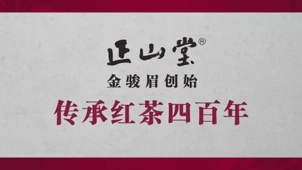 2016正山堂央视广告公开课