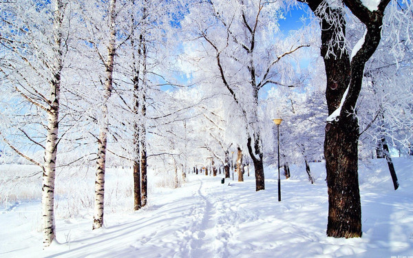 首页 【组图】摄影征集丨寻找成都冬日最美雪景    转眼,成都的冬天已